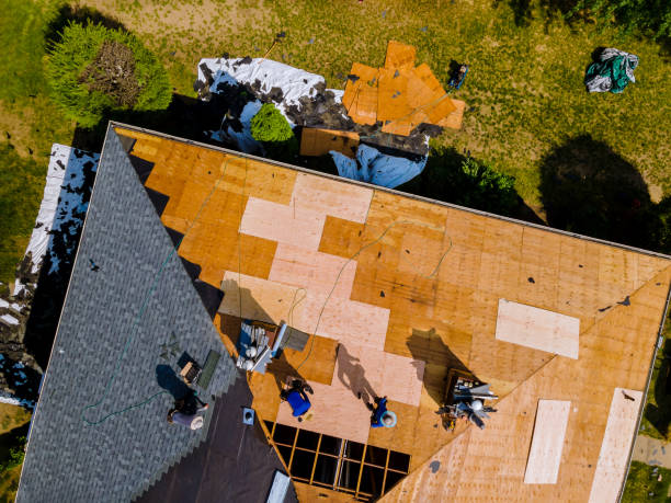 Best Metal Roofing Contractor  in Prescott, AZ